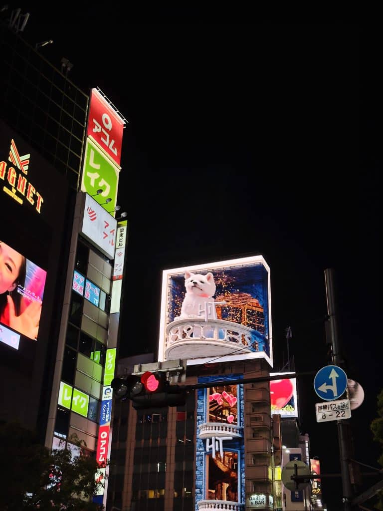 Discover the Best Area to Stay in Tokyo Japan