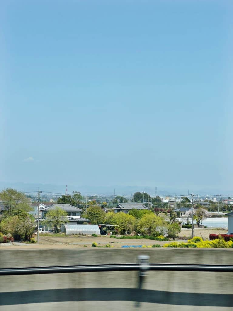 best day tours from Tokyo