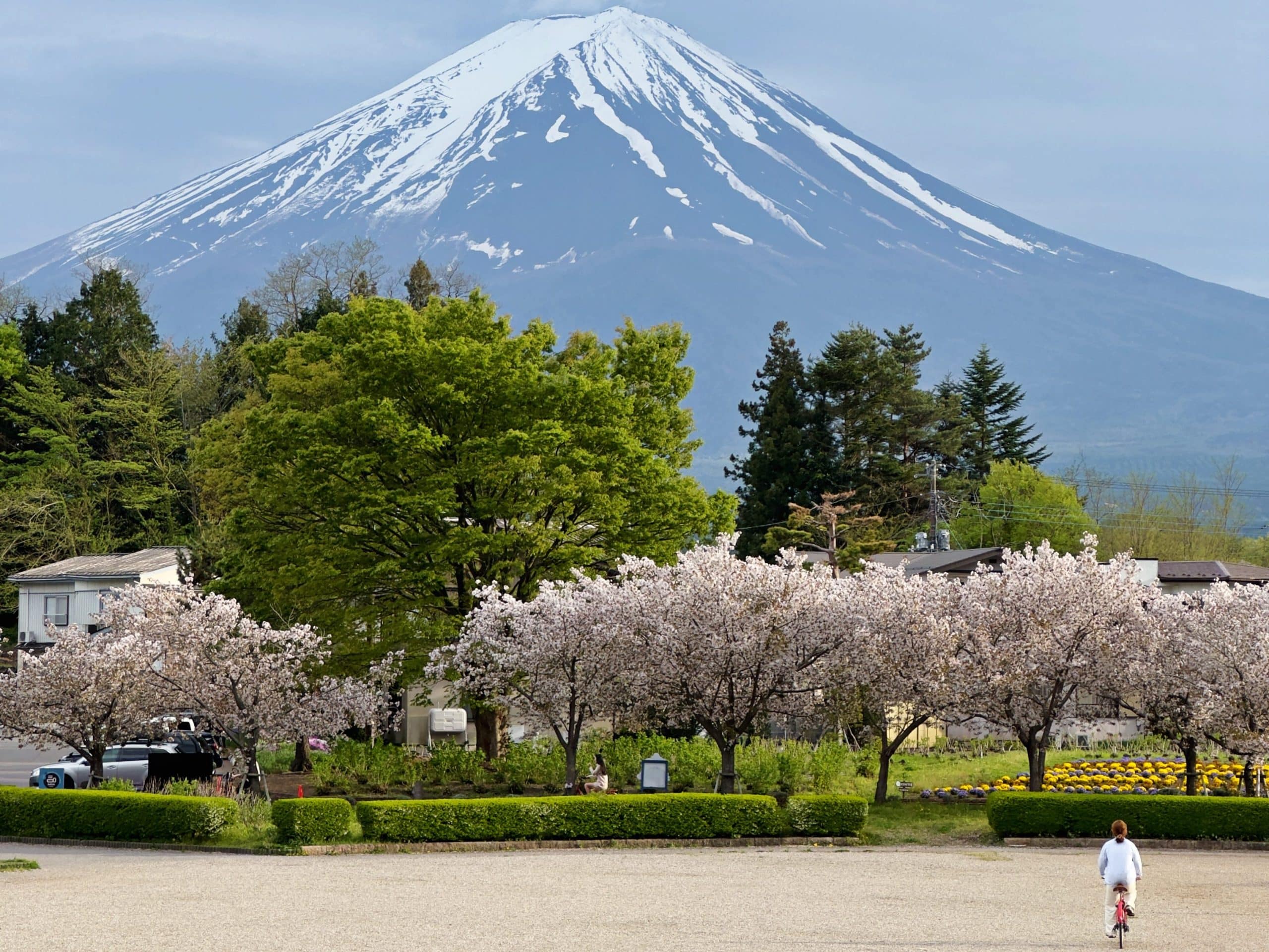 One of the best things to do in Lake Kawaguchiko is go on a stroll or on a bike ride. Best Mount Fuji views from Lake Kawaguchiko