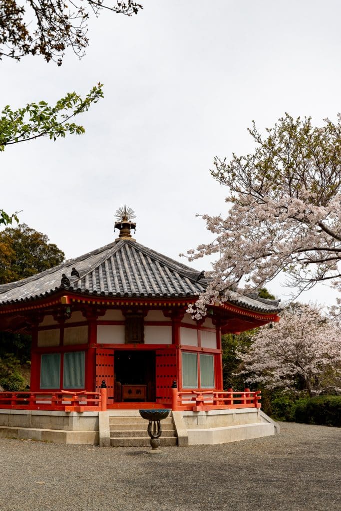 A traditional Japanese temple with red and white walls and a grey tiled roof, surrounded by cherry blossom trees in full bloom. The sky is overcast, subtly illuminating the serene setting. Steps lead up to the entrance, and a large incense burner is placed in front. Shimoda is one of the best day trips from Tokyo.