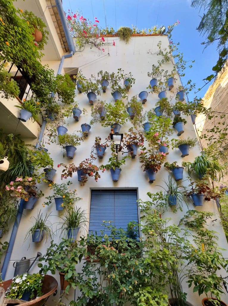 A building facade covered with numerous potted plants in blue containers, arranged in a grid pattern. The plants vary in size and type, creating a green vertical garden. A small window with a blue blind is visible in the center.