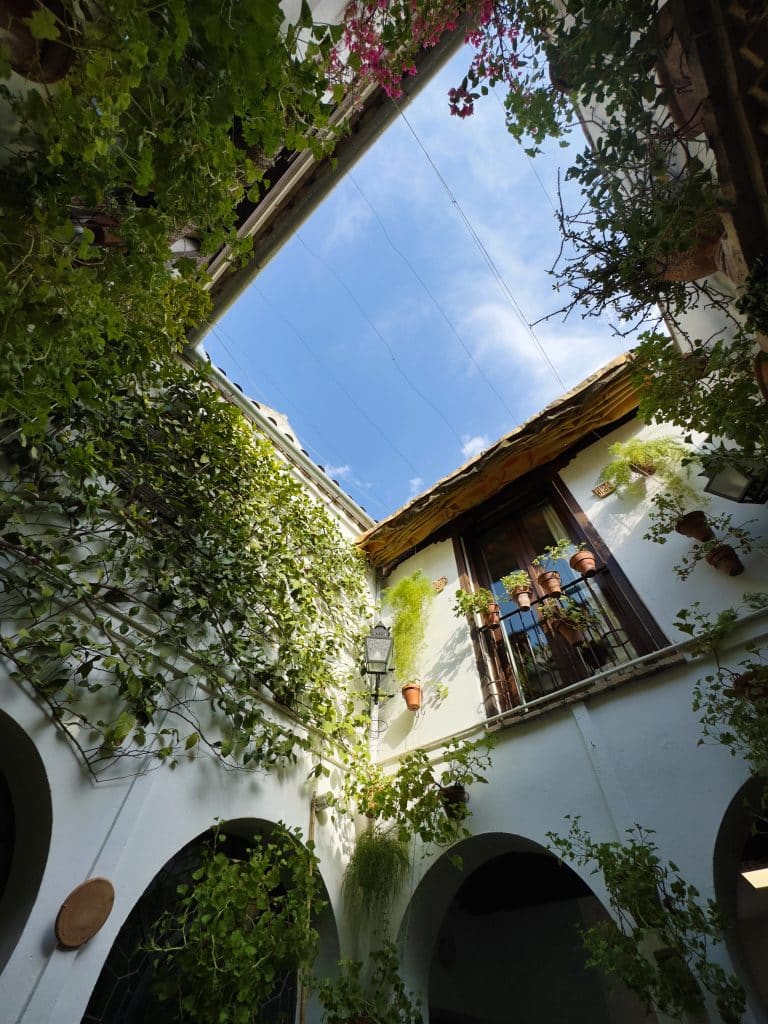 A bright courtyard with white walls covered in lush green vines and potted plants. Arched windows and a balcony add to the charm. The open sky above is clear and blue, adding natural light to the scene.