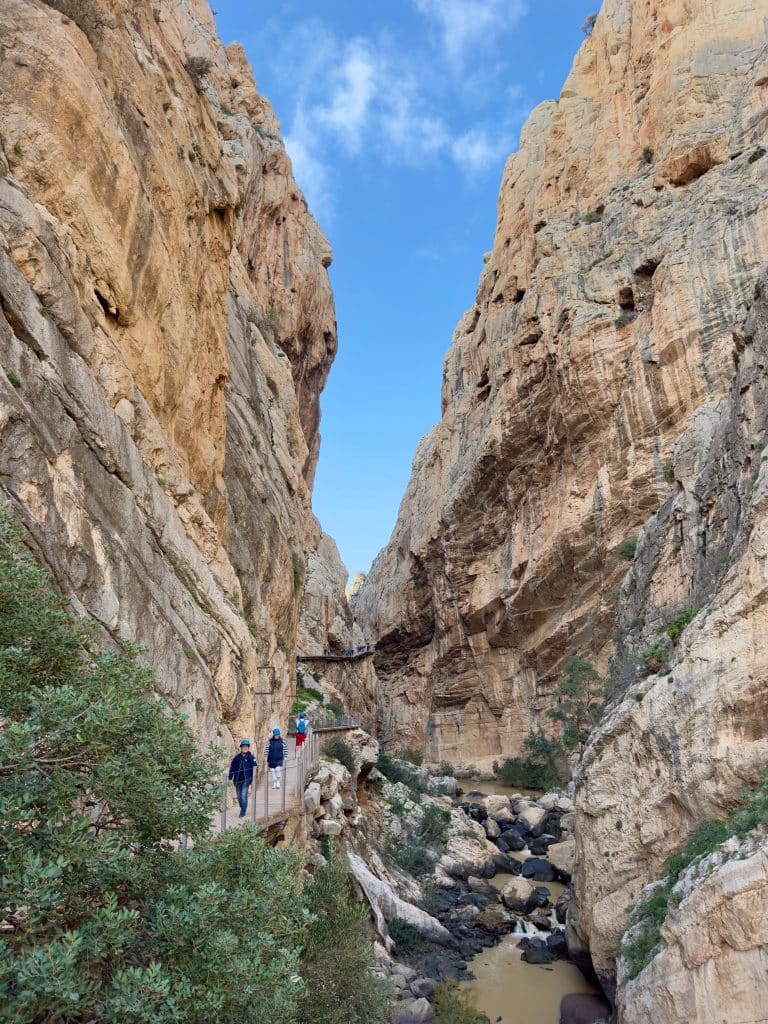 A group of hikers, on one of the popular day trips from Granada, Caminito del Rey, walks along a narrow path built into a steep rocky canyon with towering cliffs, greenery near the path, and a brilliant blue sky above.