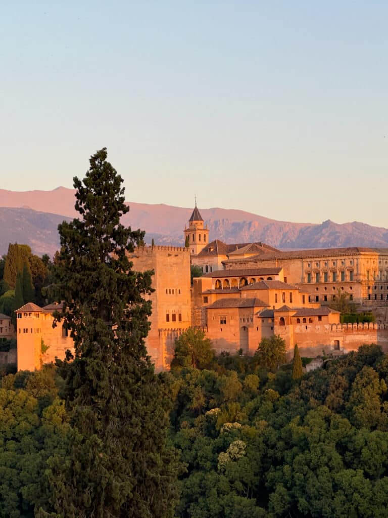 Perched on a verdant hillside, the Alhambra's grand and historic walls glow in the golden light of sunset. Its majestic architecture is framed by distant mountains, while a tall tree stands gracefully in the foreground, adding to the enchanting scene.