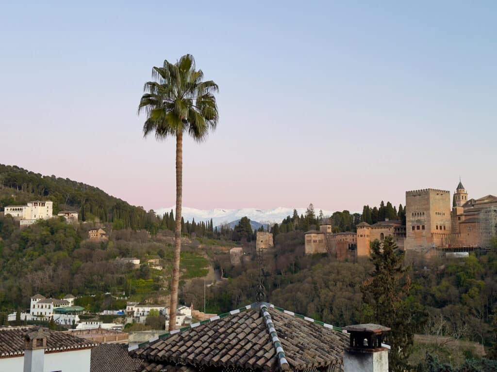 A tall palm tree stands in front of historic buildings and the Alhambra fortress, with forested hills and snow-capped mountains in the background beneath a pastel sky—one of the hidden gems of Granada. Rooftops are visible in the foreground.