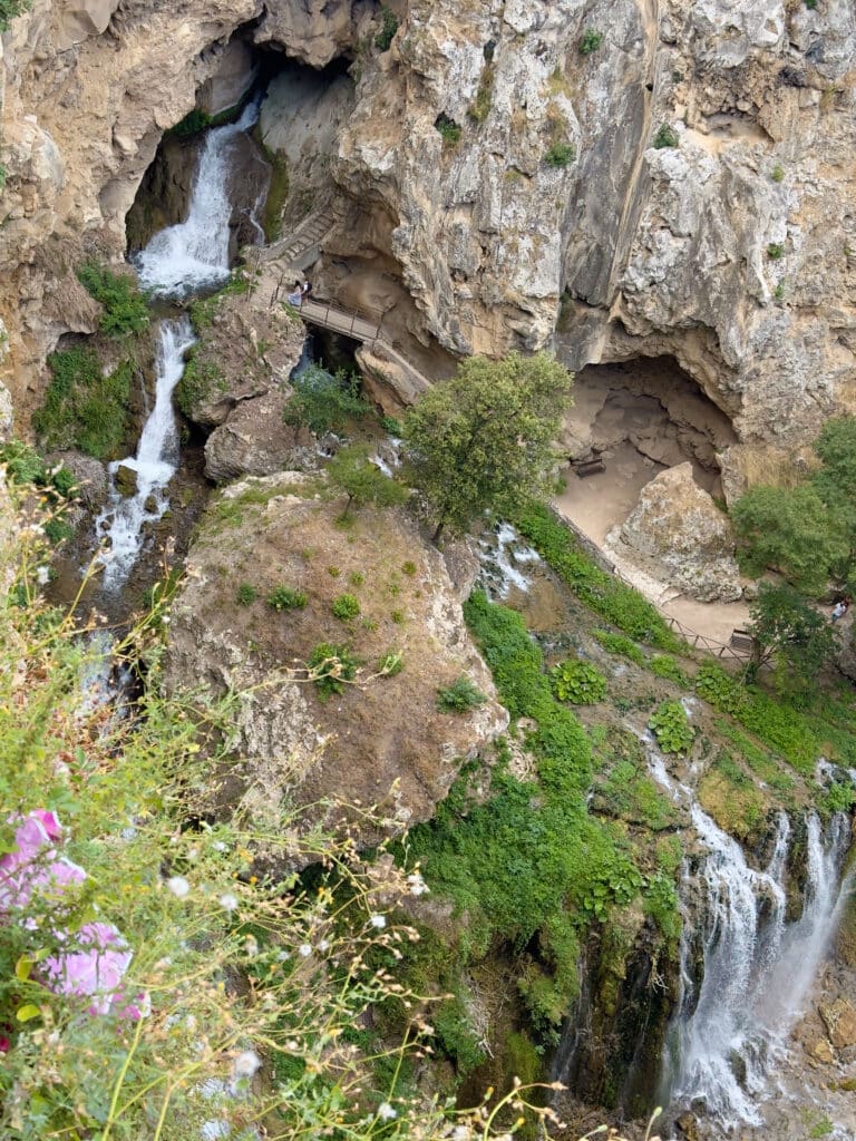 View from above of a rocky landscape, Villa Gregoriana in Tivoli, featuring waterfalls cascading through caves and lush greenery, with a walkway and people visible near the water, and wildflowers in the foreground. This is a must visit on a day trip to Tivoli.