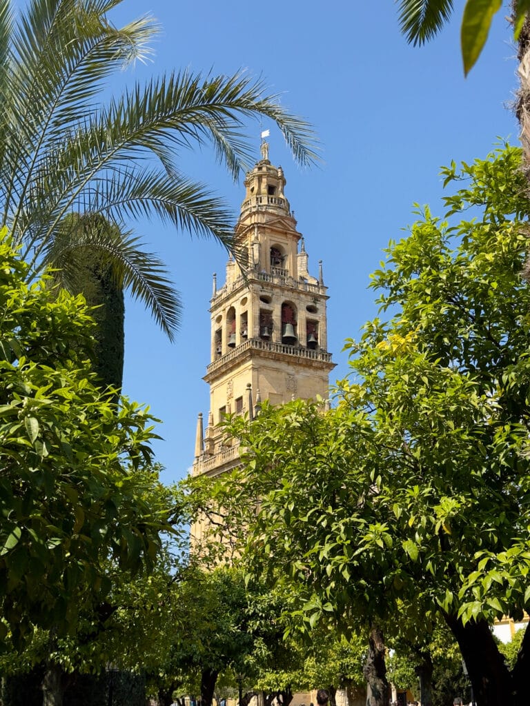 A tall, ornate bell tower rises above lush green trees and palms, set against a clear blue sky on a sunny day.